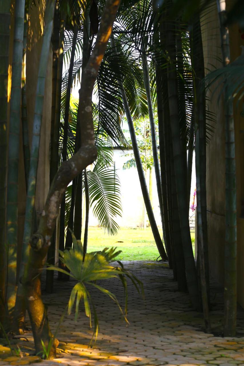 Rhino Land Jungle Lodge Sauraha Exterior foto